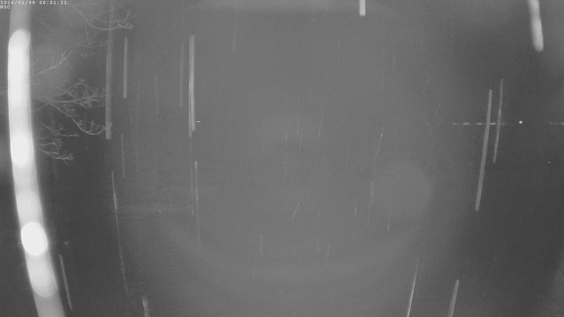 Archiv Foto Webcam Segelhafen Waginger See