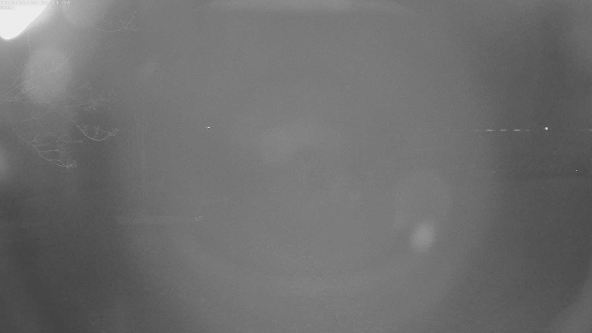 Archiv Foto Webcam Segelhafen Waginger See