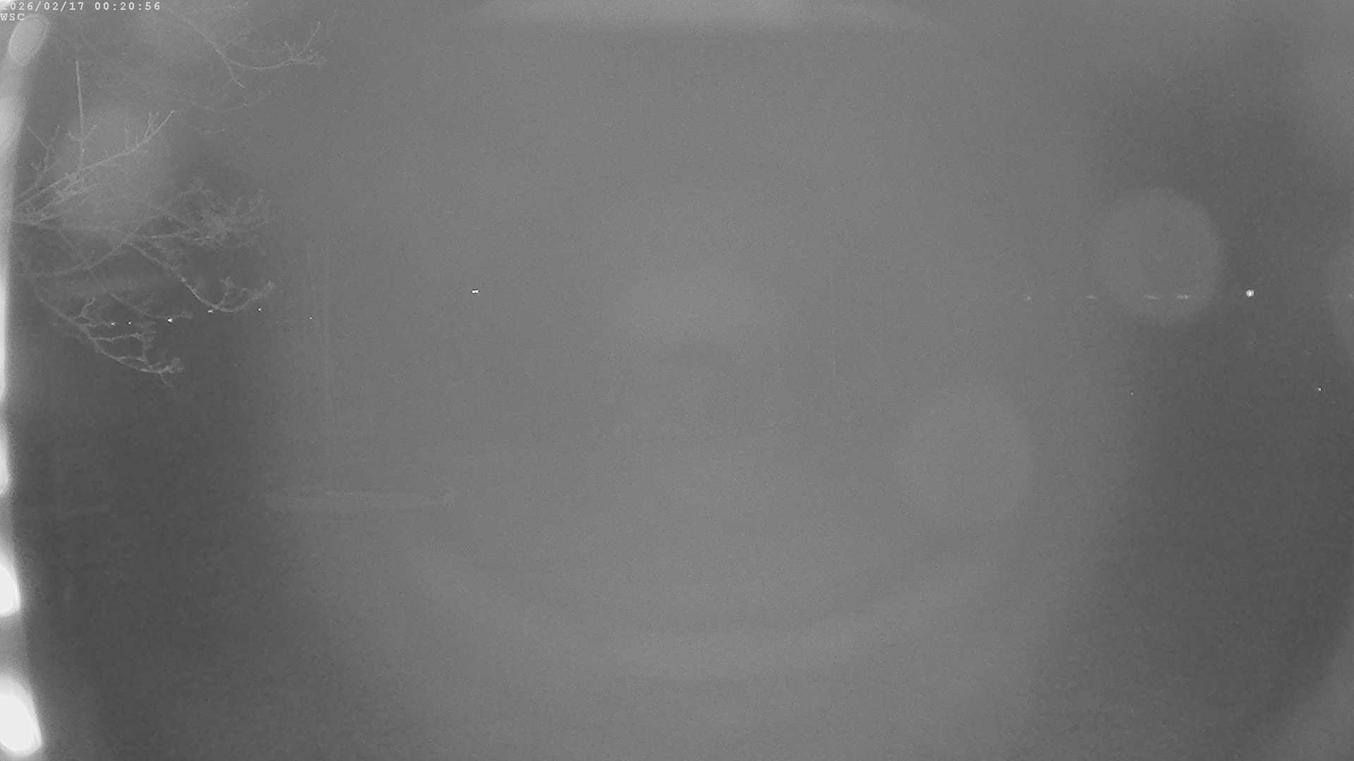 Archiv Foto Webcam Segelhafen Waginger See