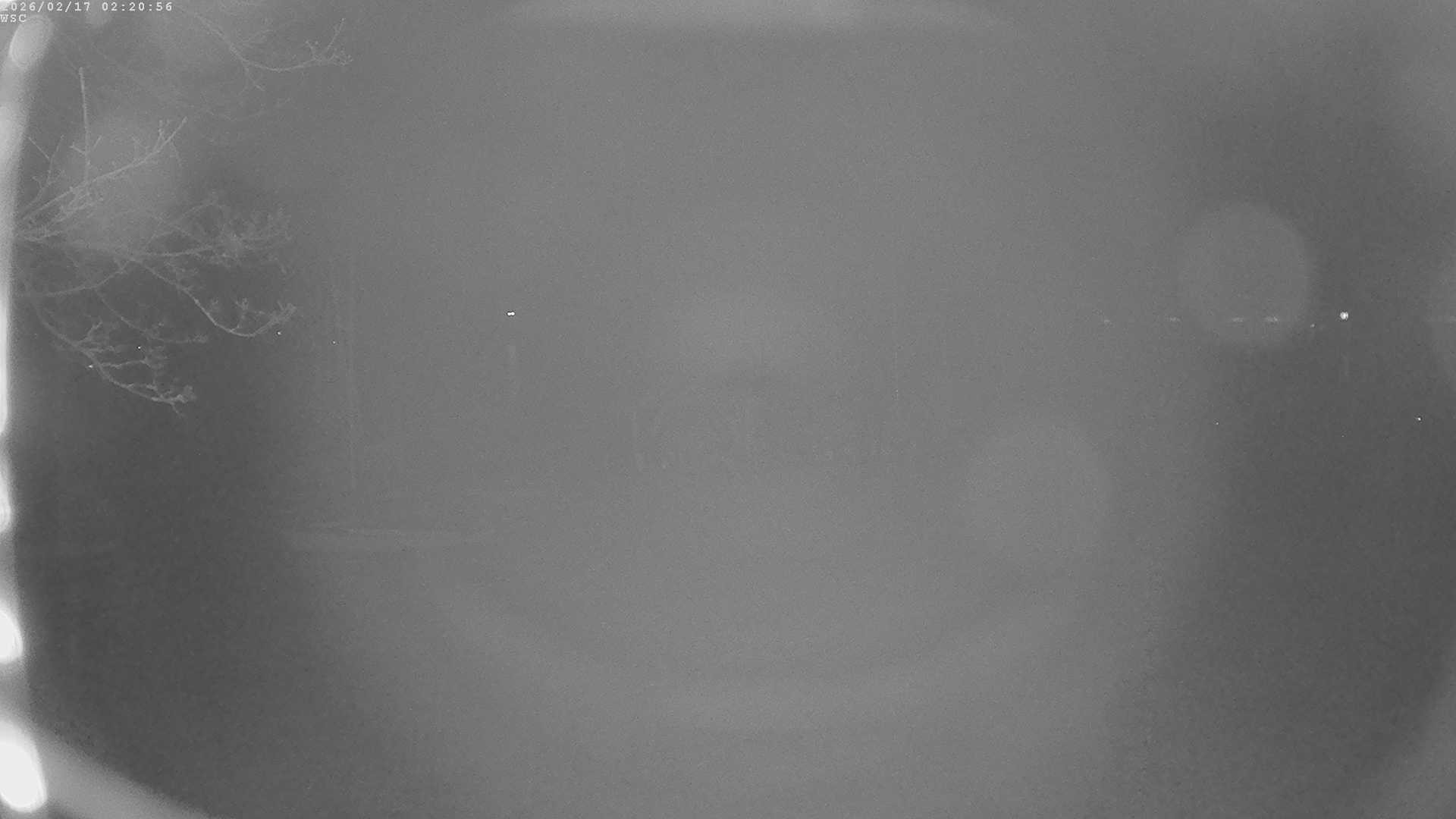 Archiv Foto Webcam Segelhafen Waginger See