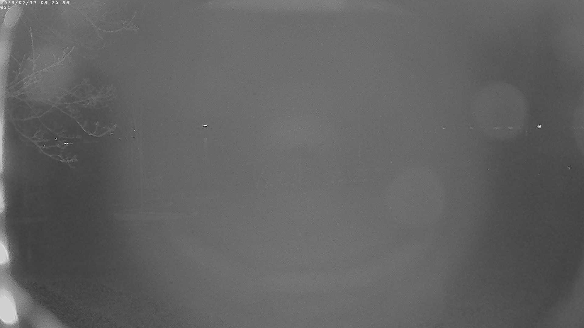 Archiv Foto Webcam Segelhafen Waginger See