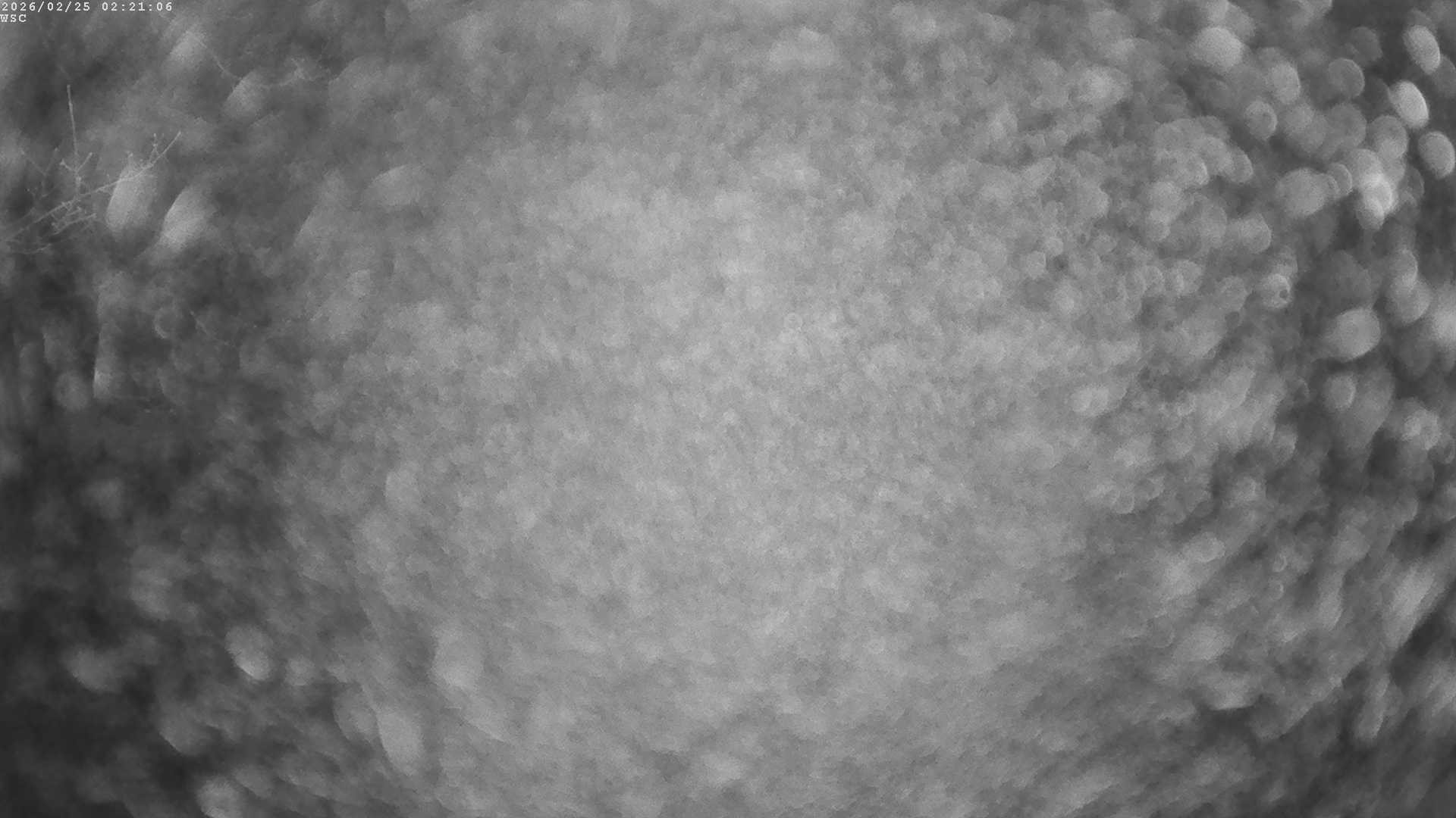 Archiv Foto Webcam Segelhafen Waginger See