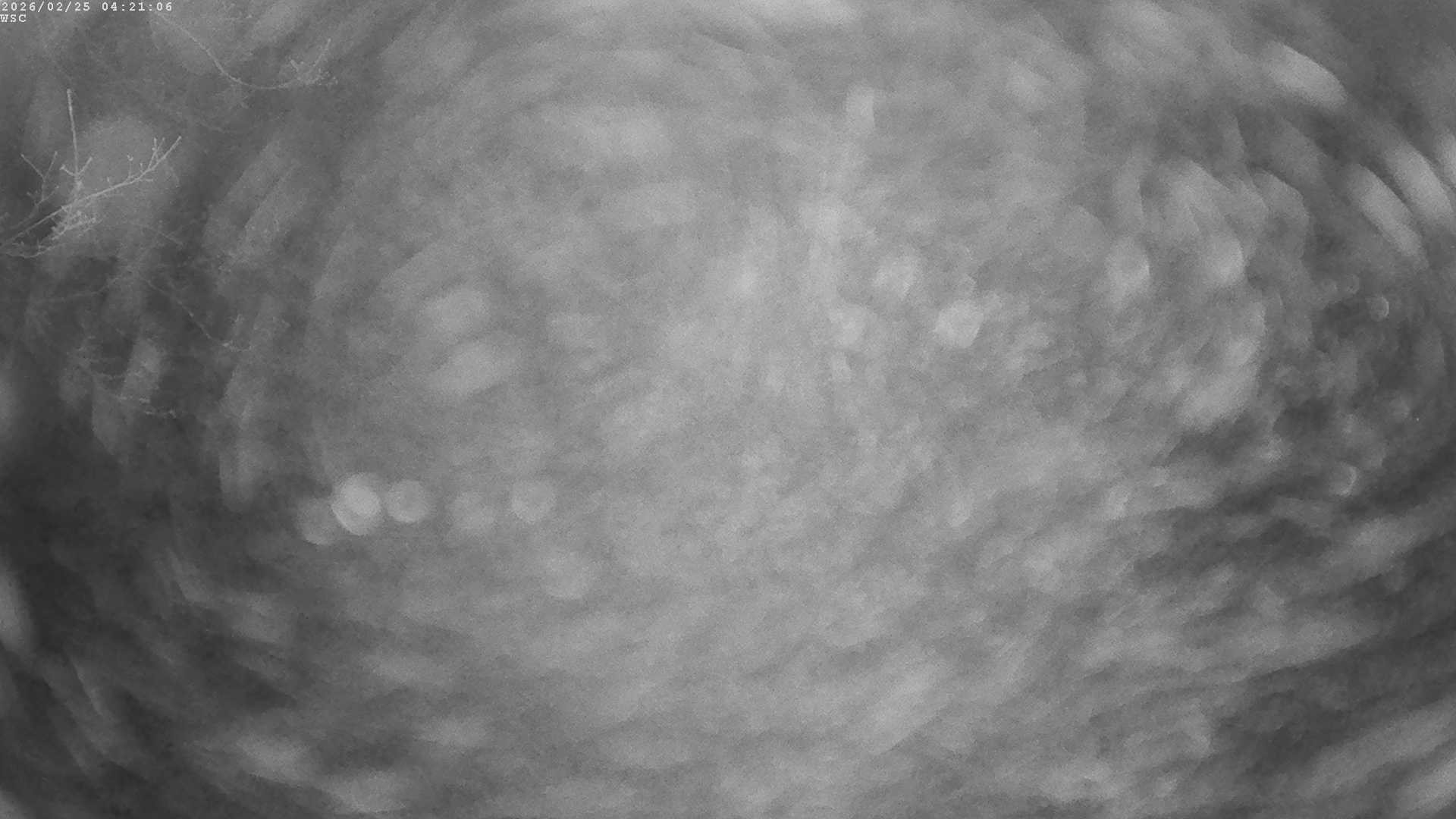 Archiv Foto Webcam Segelhafen Waginger See