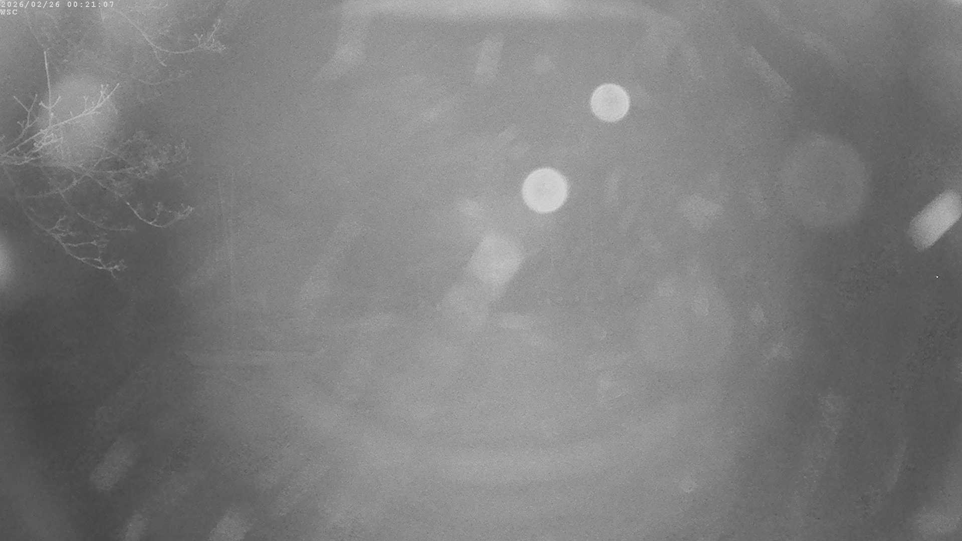 Archived image Webcam Waging: Sailing Harbor