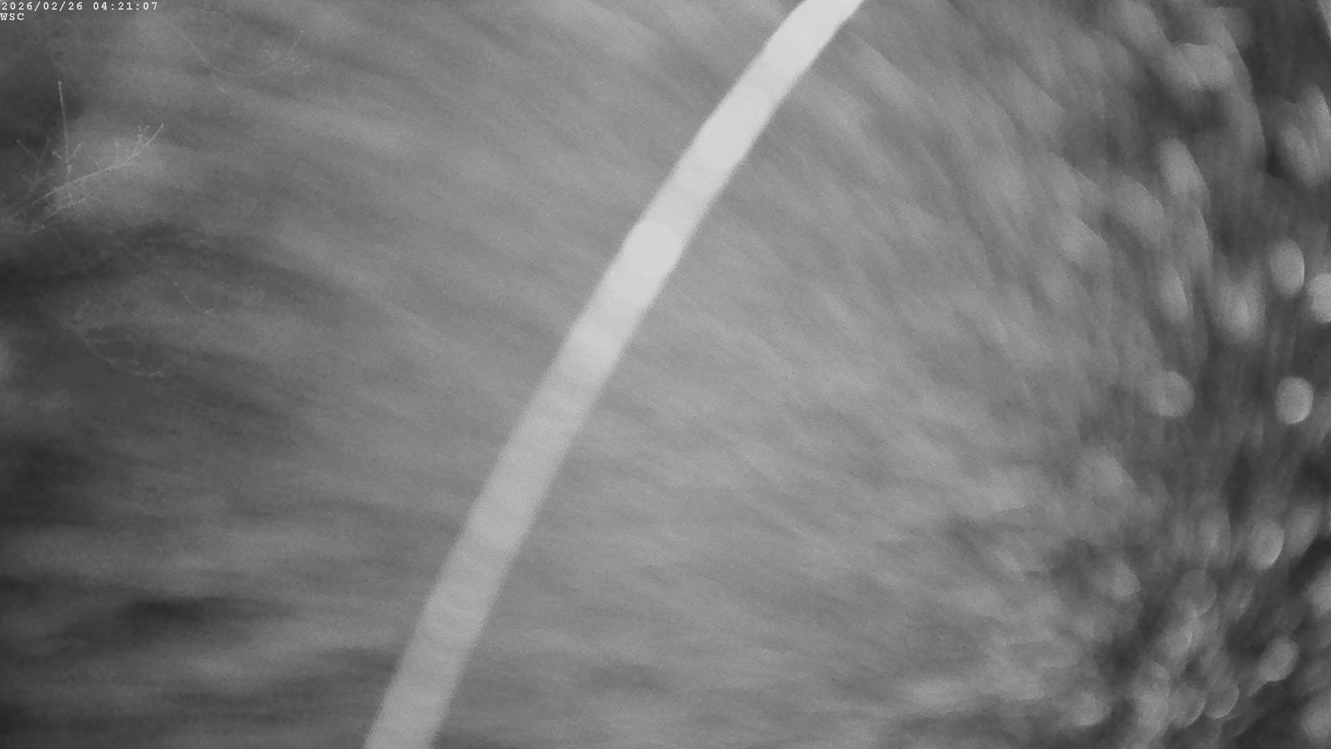 Archived image Webcam Waging: Sailing Harbor