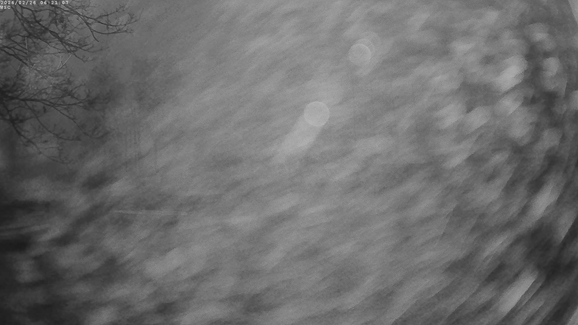 Archived image Webcam Waging: Sailing Harbor