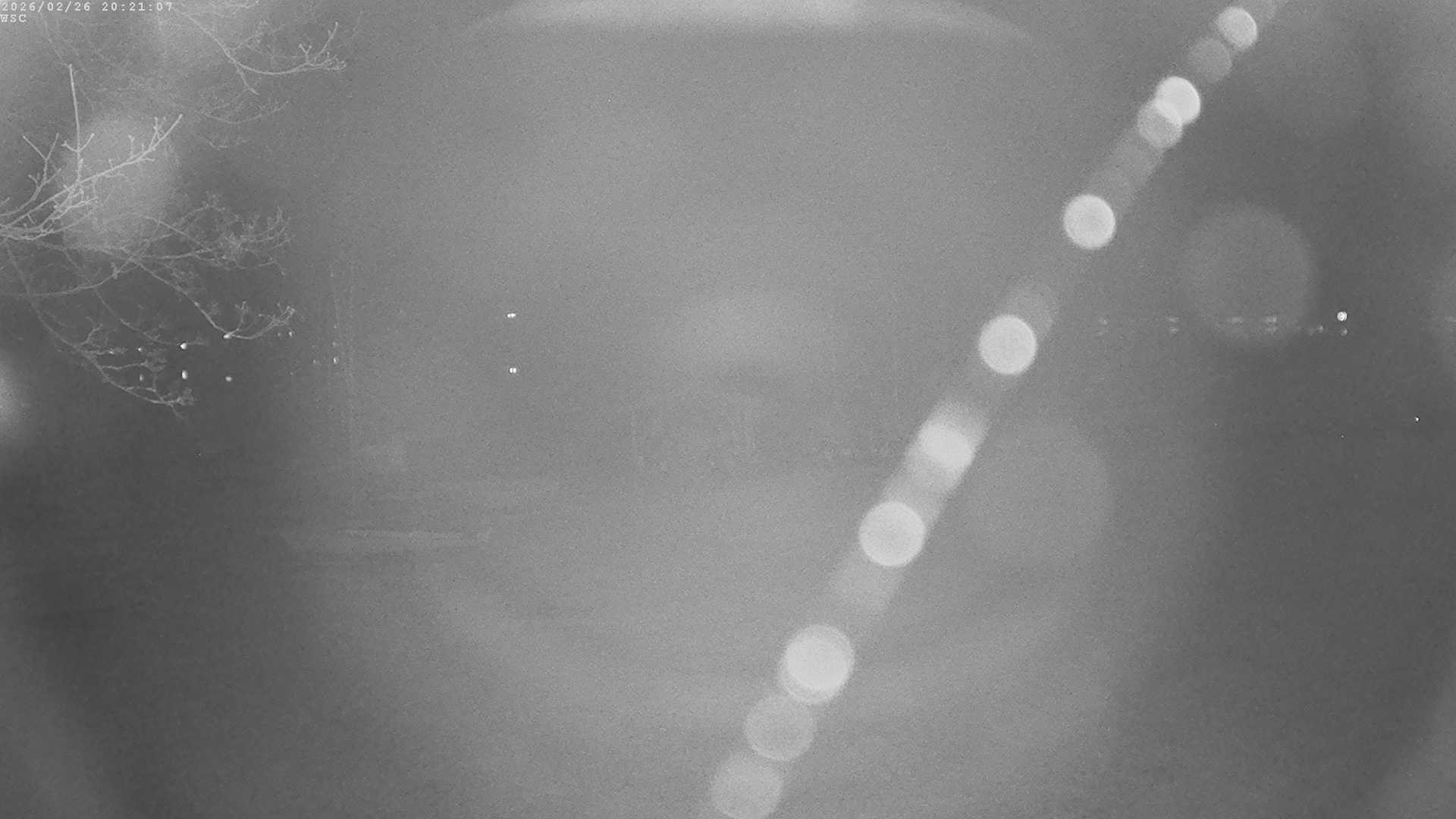 Archived image Webcam Waging: Sailing Harbor