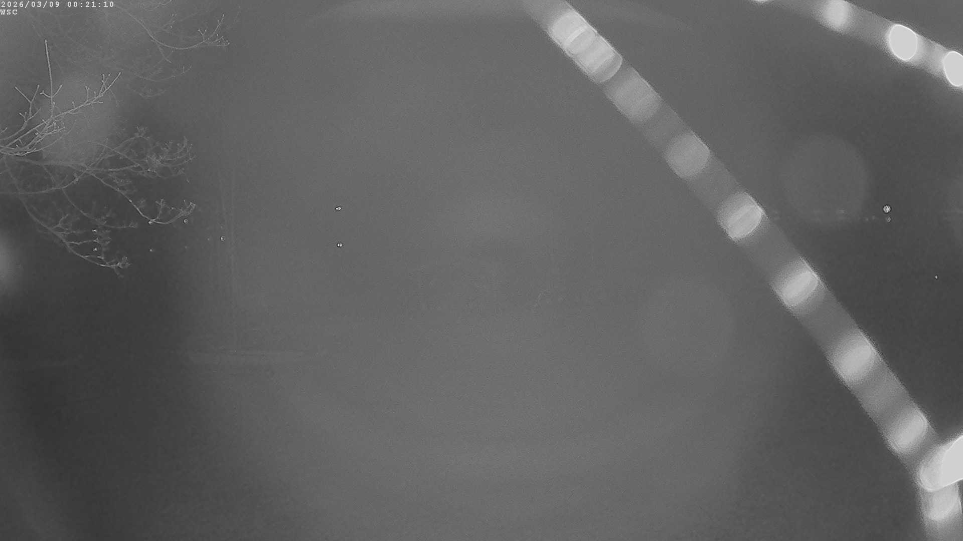 Archiv Foto Webcam Segelhafen Waginger See