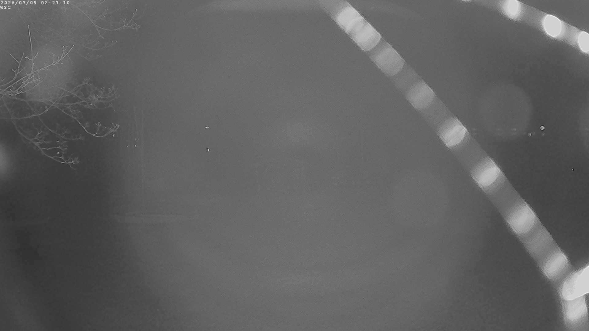 Archiv Foto Webcam Segelhafen Waginger See