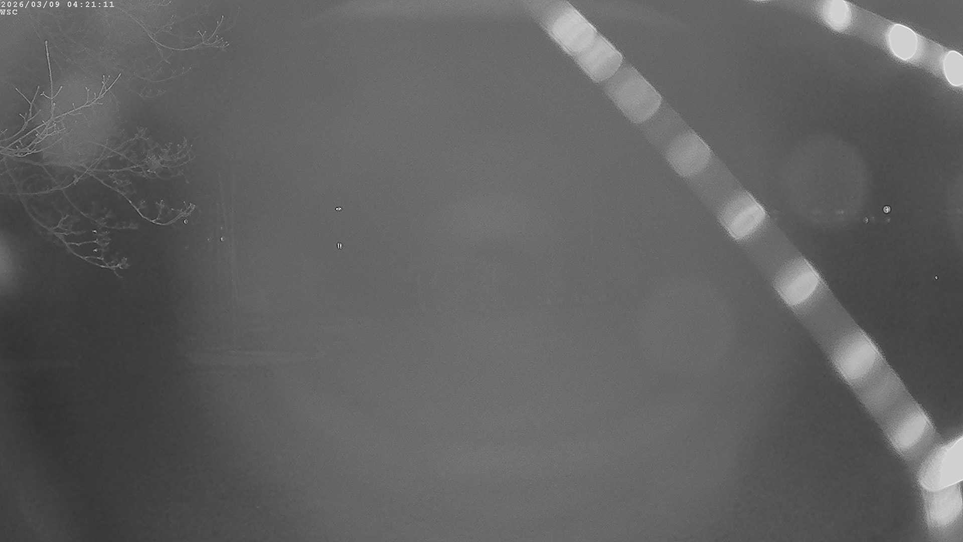 Archiv Foto Webcam Segelhafen Waginger See