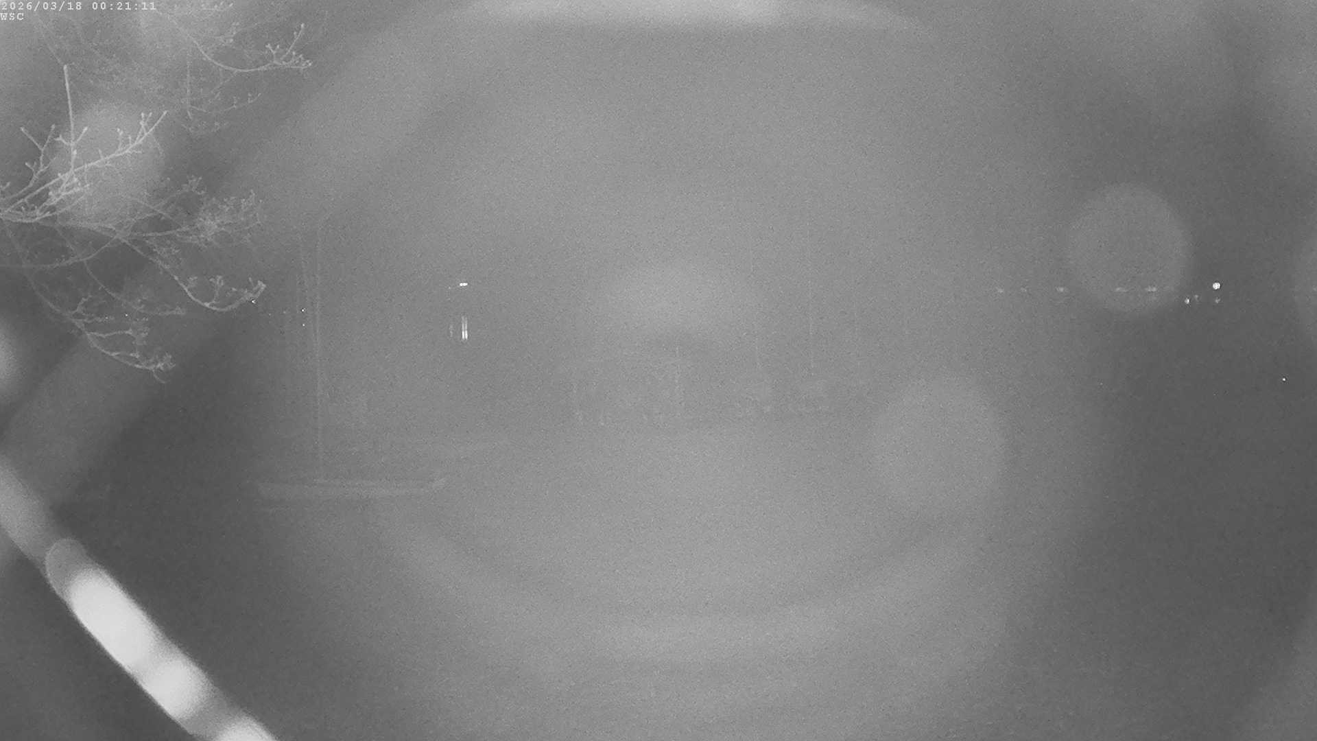 Archiv Foto Webcam Segelhafen Waginger See