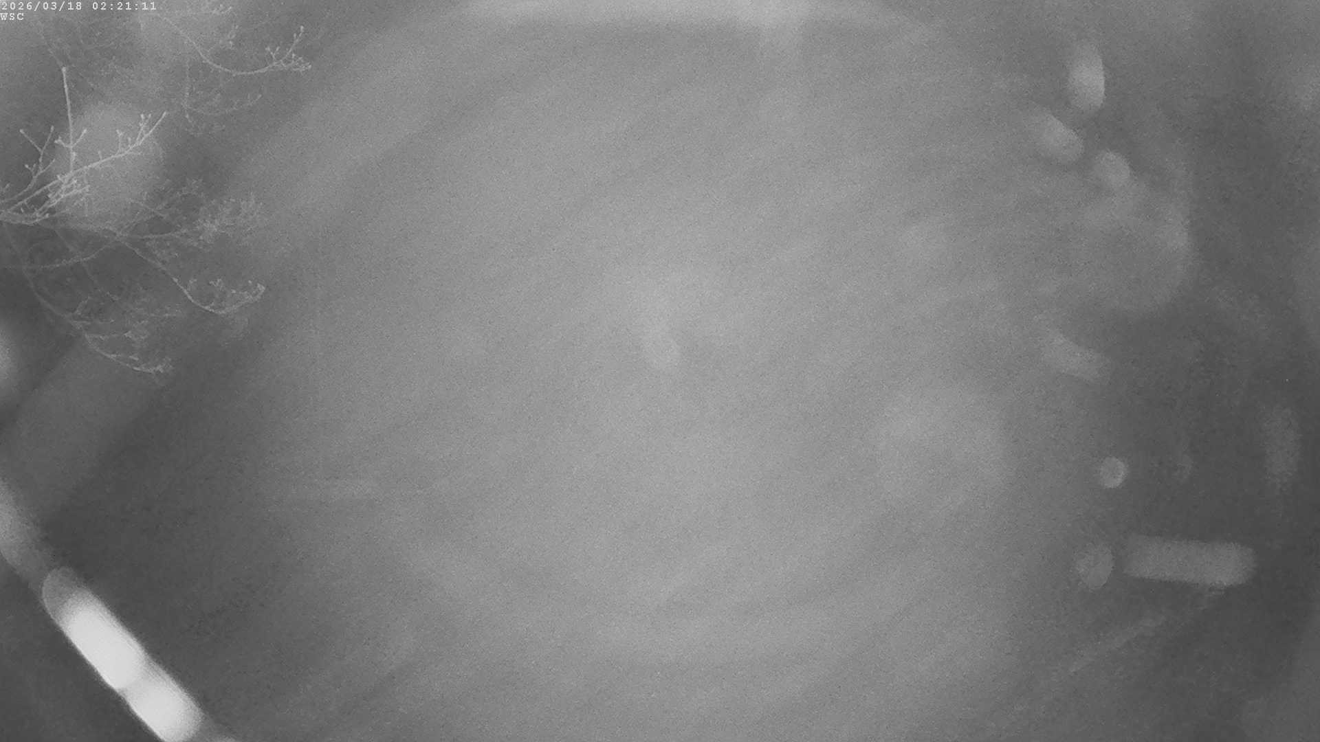 Archiv Foto Webcam Segelhafen Waginger See