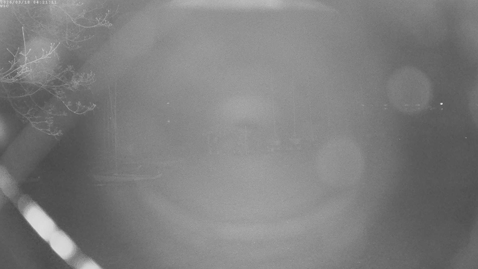 Archiv Foto Webcam Segelhafen Waginger See