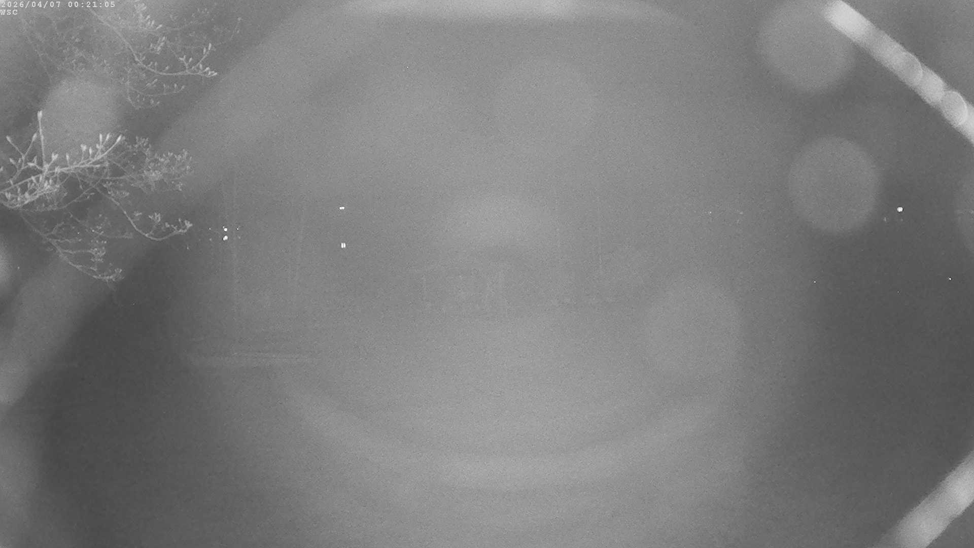 Archiv Foto Webcam Segelhafen Waginger See