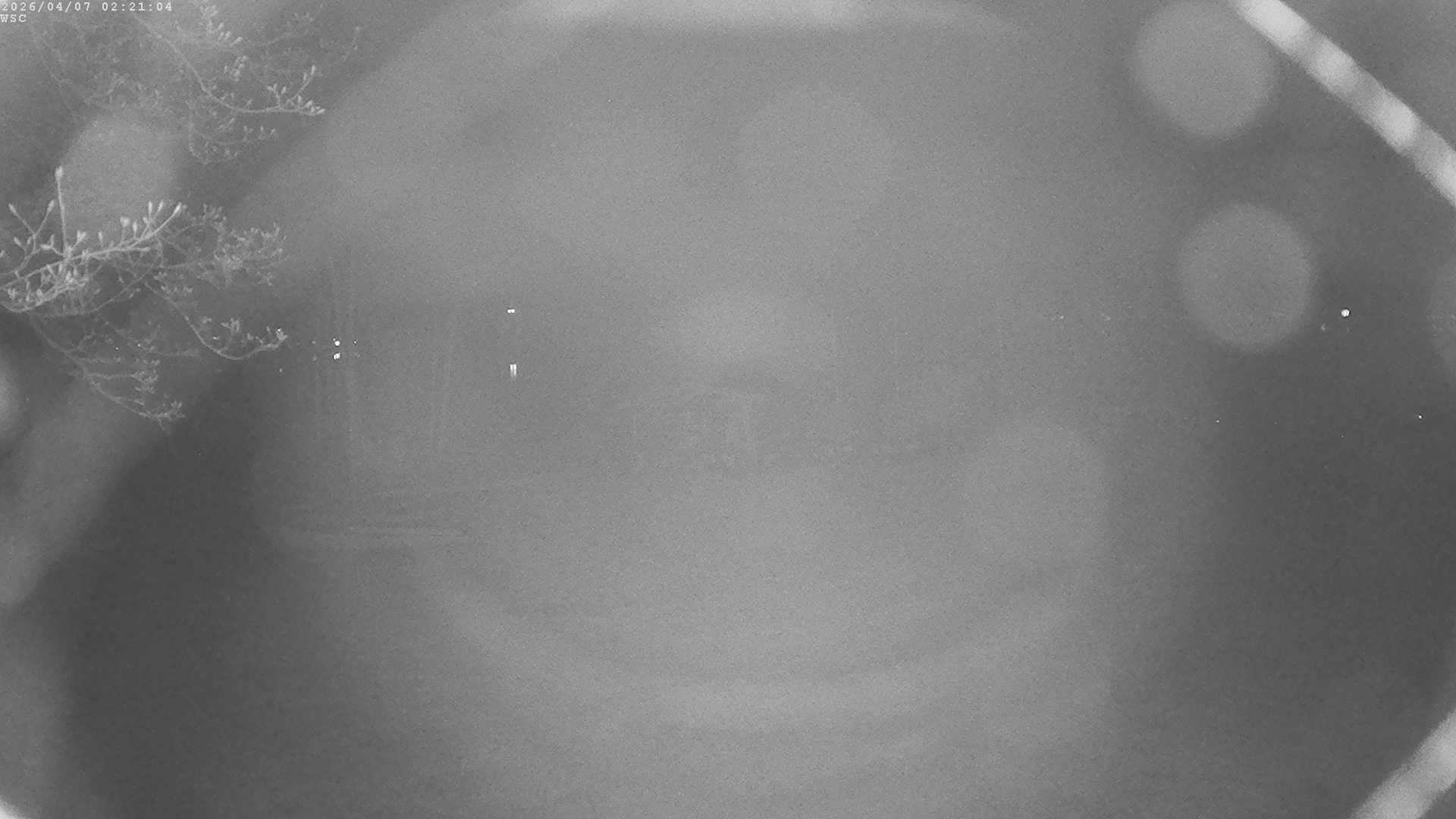 Archiv Foto Webcam Segelhafen Waginger See