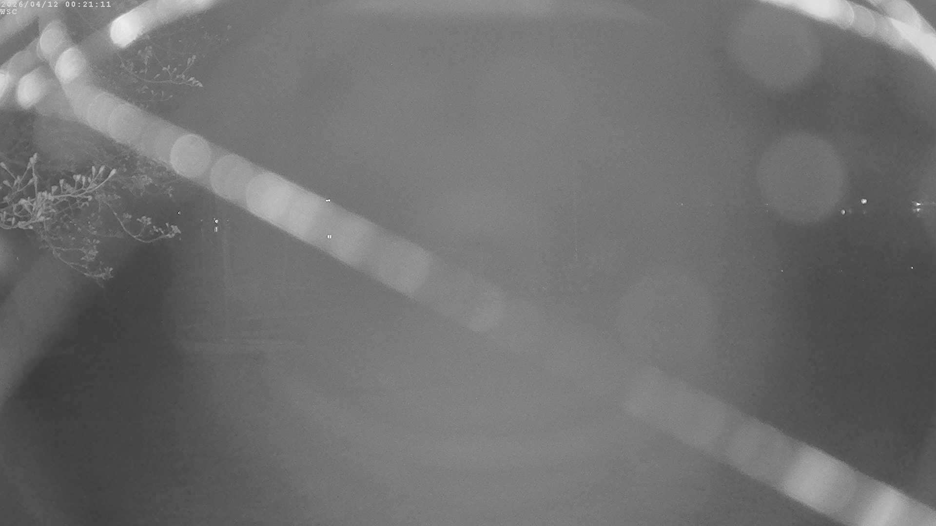 Archiv Foto Webcam Segelhafen Waginger See