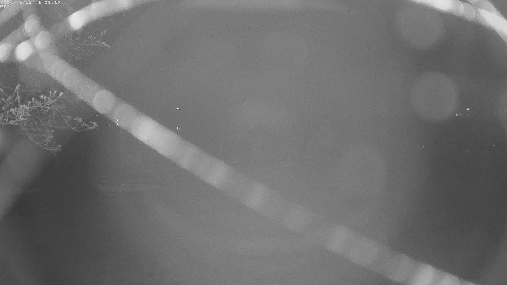 Archiv Foto Webcam Segelhafen Waginger See