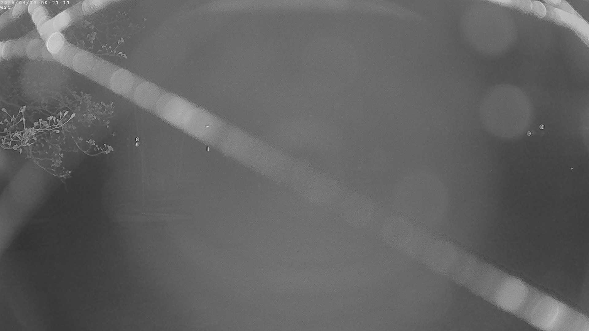 Archived image Webcam Waging: Sailing Harbor