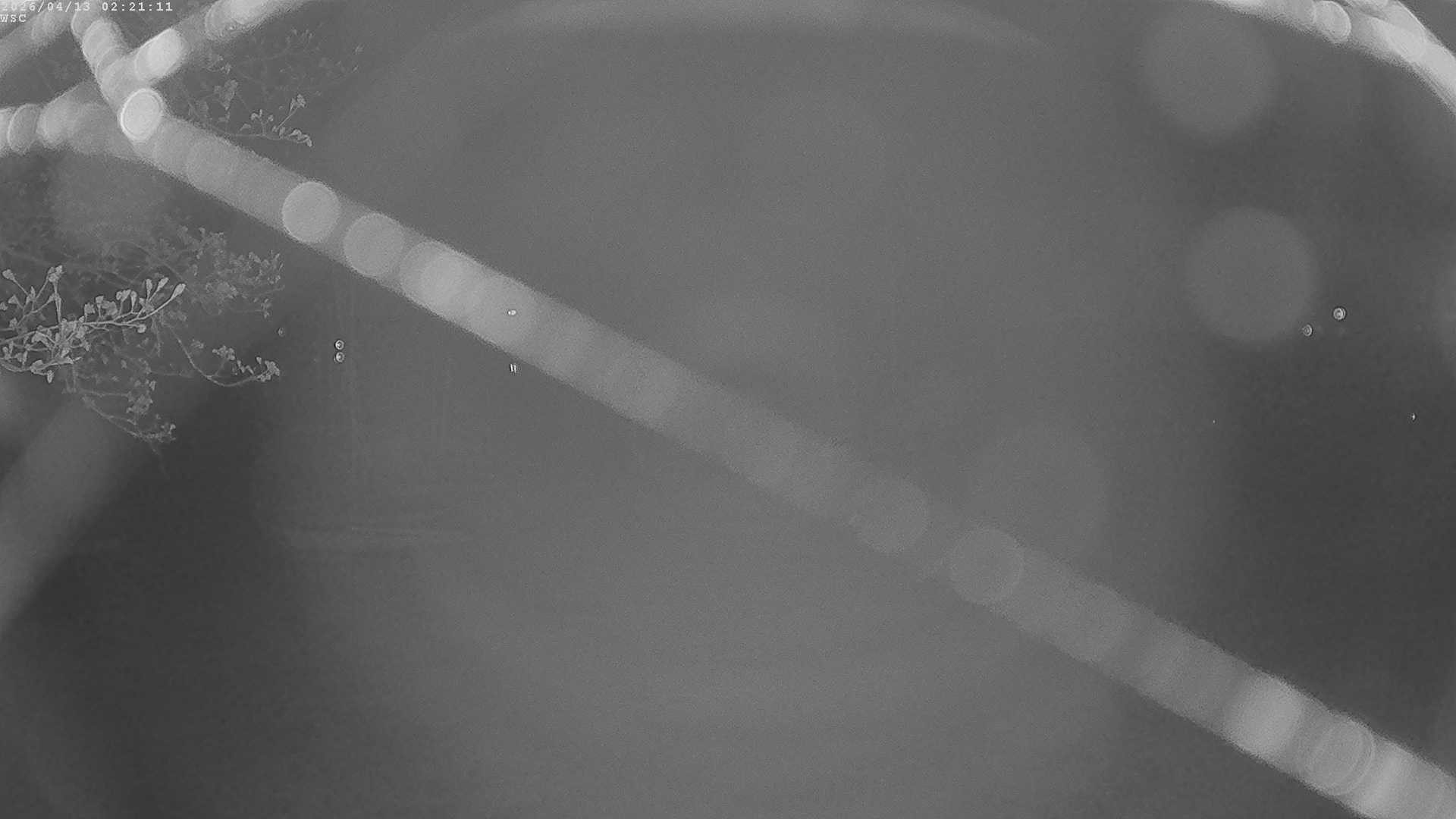 Archived image Webcam Waging: Sailing Harbor