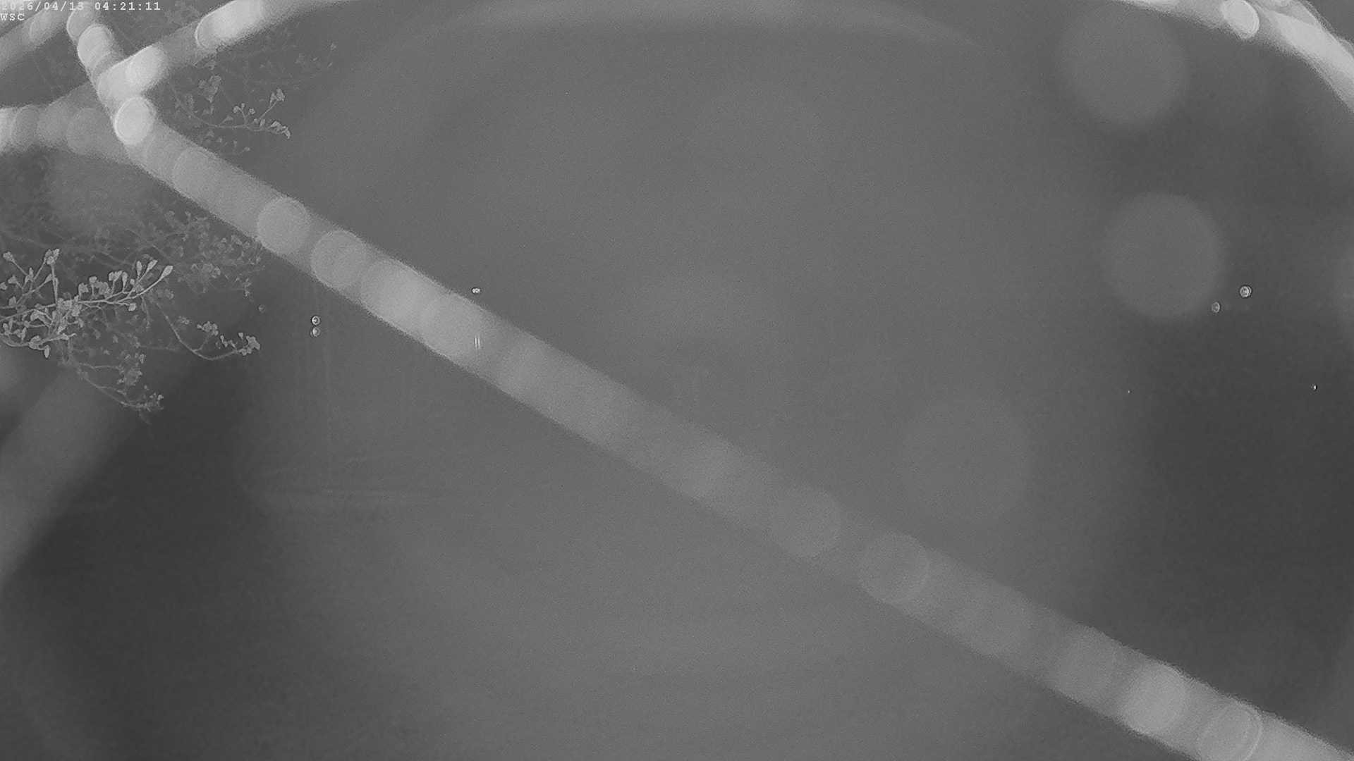 Archived image Webcam Waging: Sailing Harbor