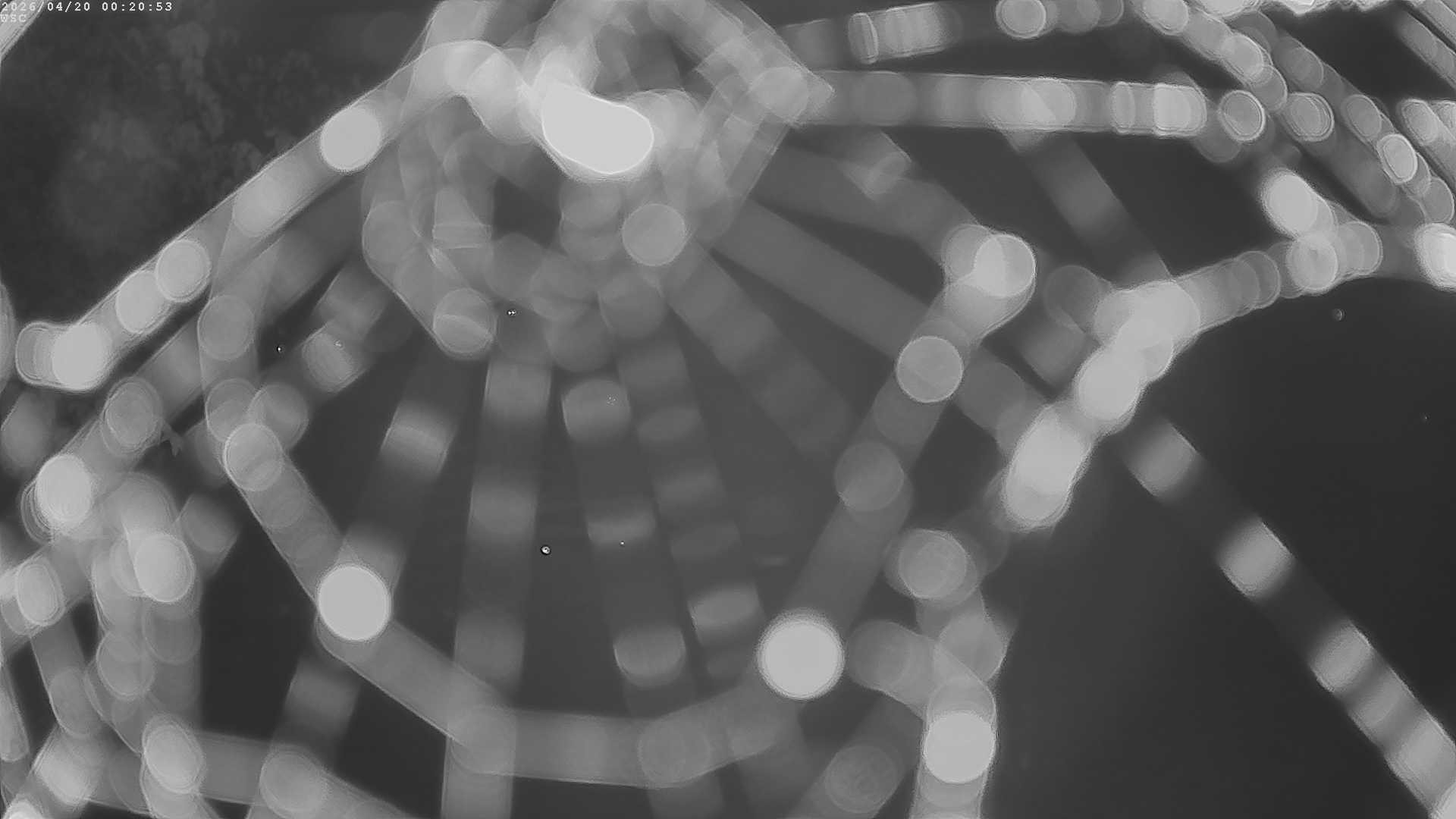 Archived image Webcam Waging: Sailing Harbor