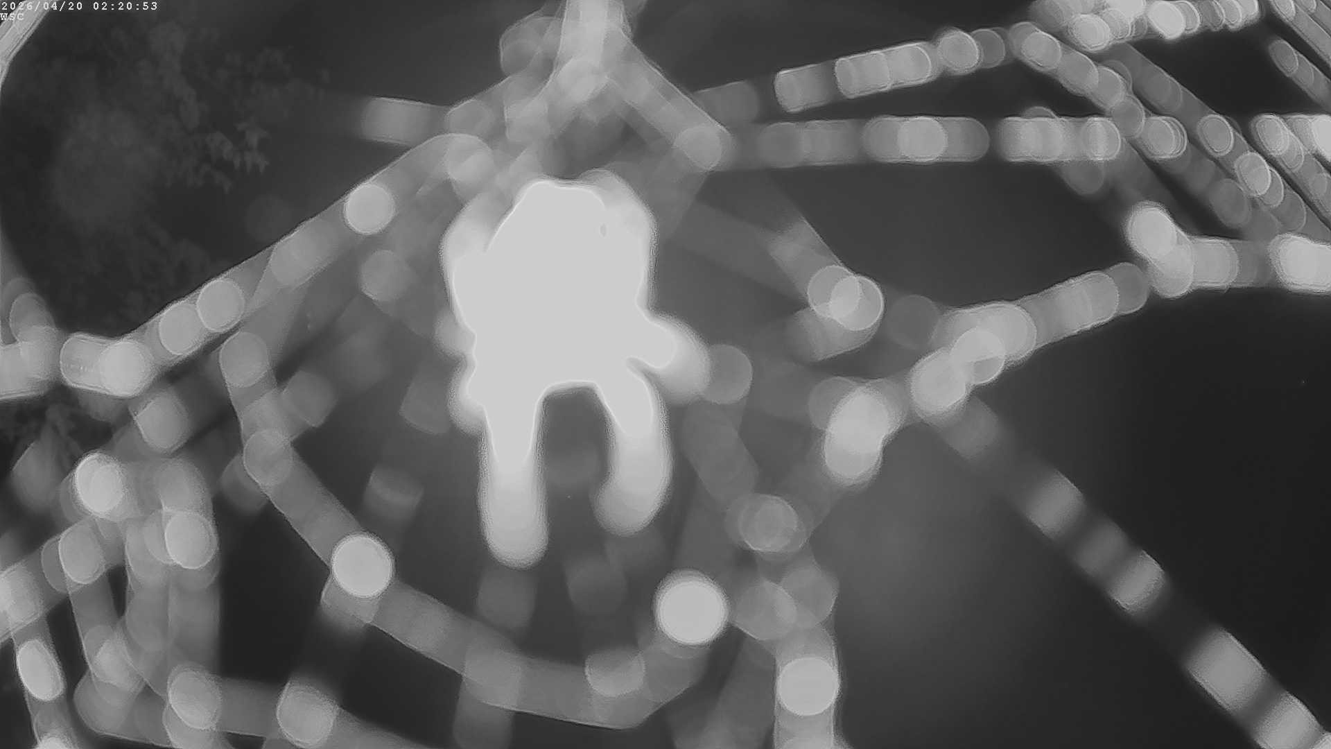 Archived image Webcam Waging: Sailing Harbor