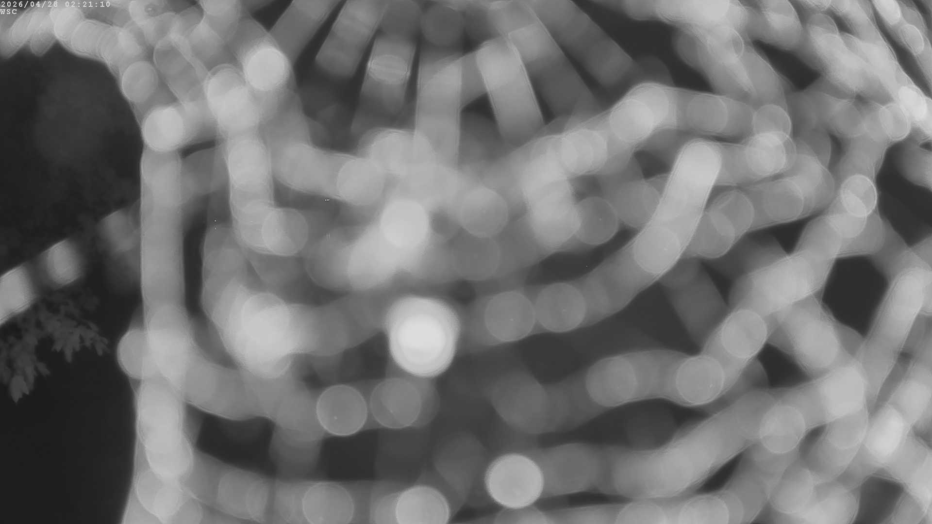 Archived image Webcam Waging: Sailing Harbor