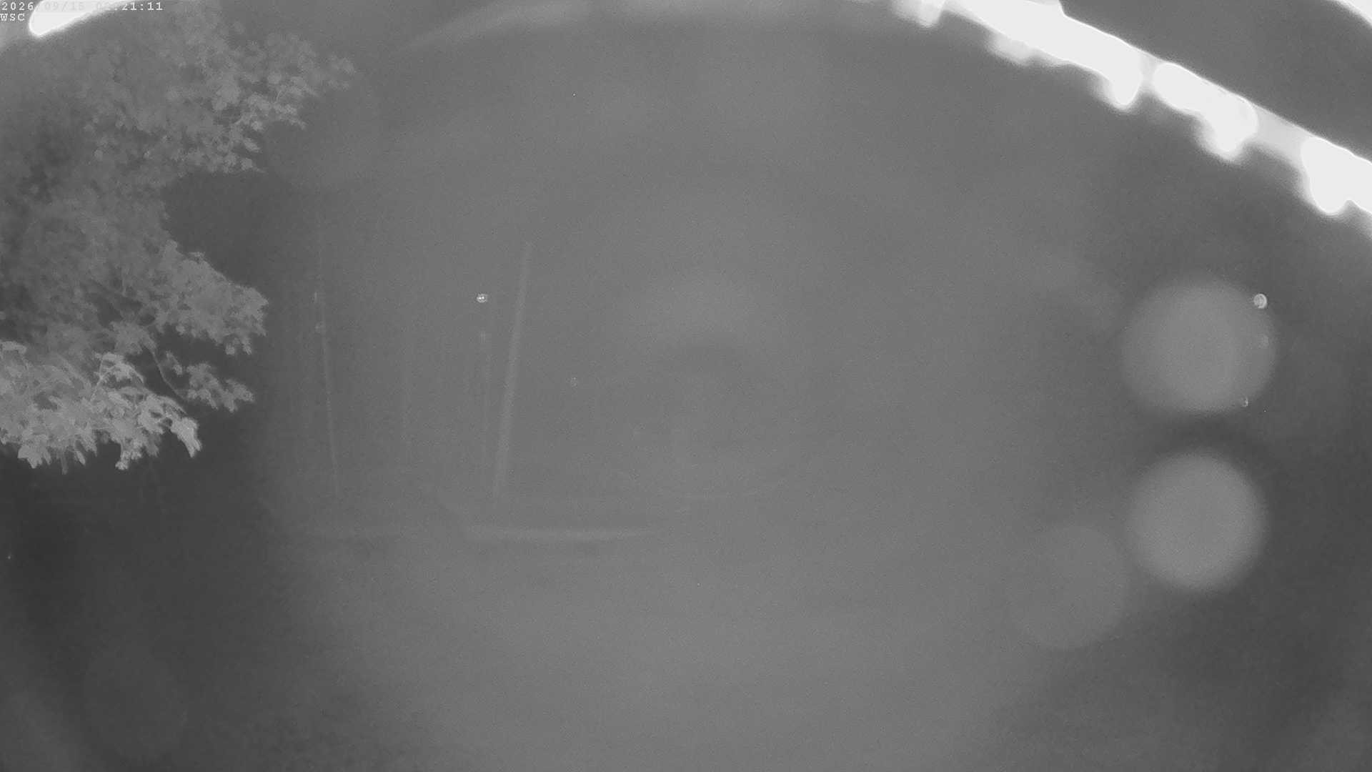 Archiv Foto Webcam Segelhafen Waginger See