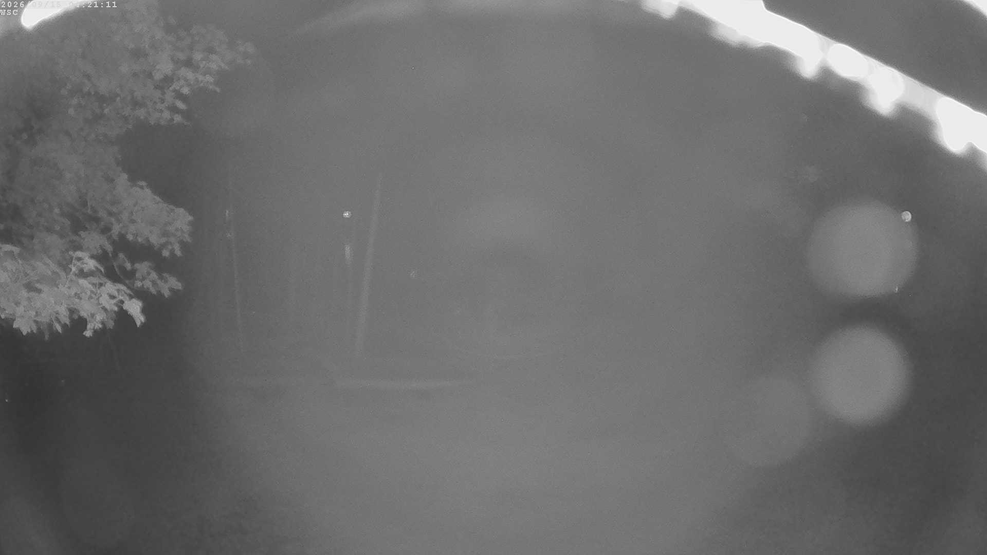 Archiv Foto Webcam Segelhafen Waginger See
