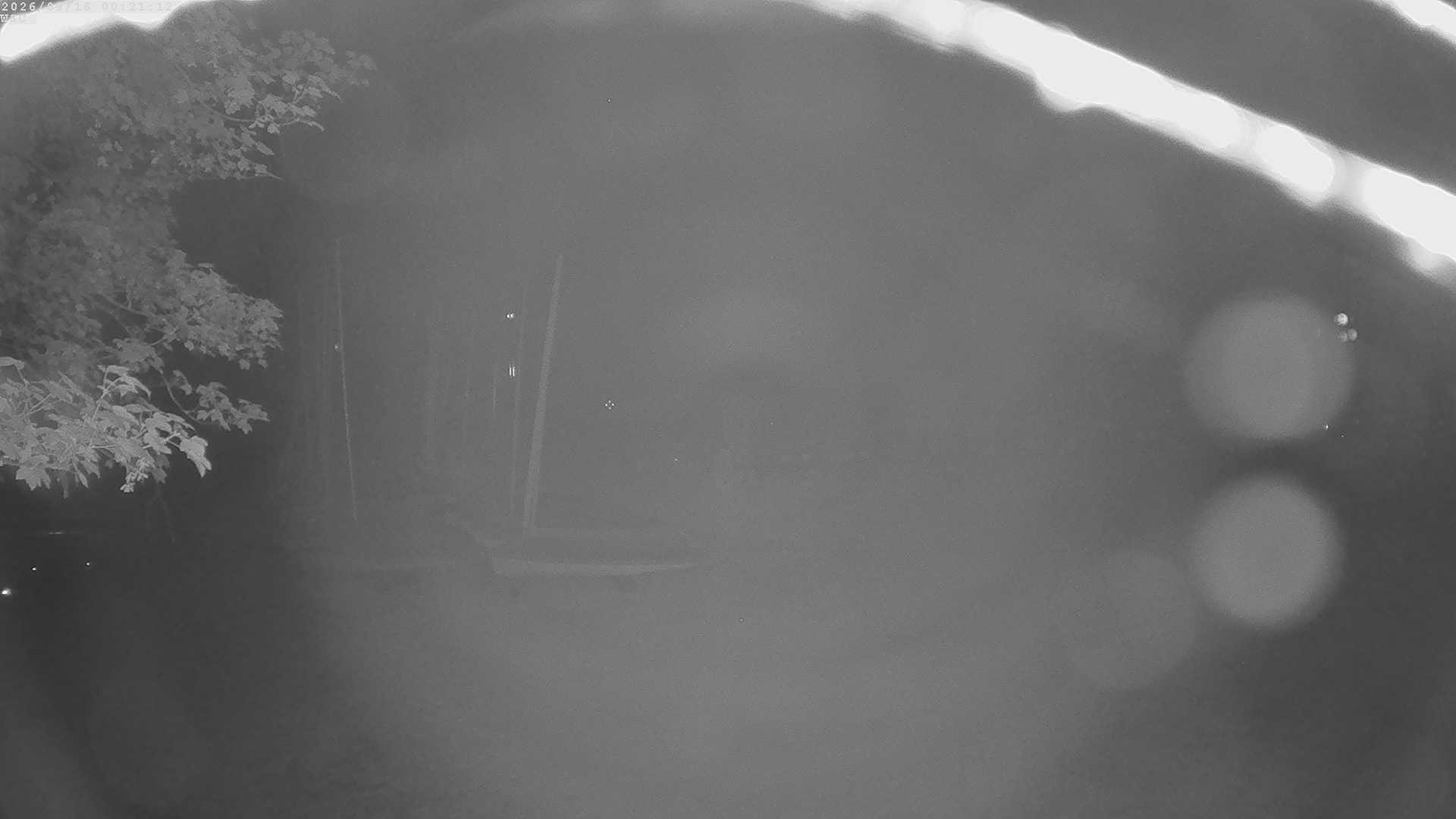 Archiv Foto Webcam Segelhafen Waginger See