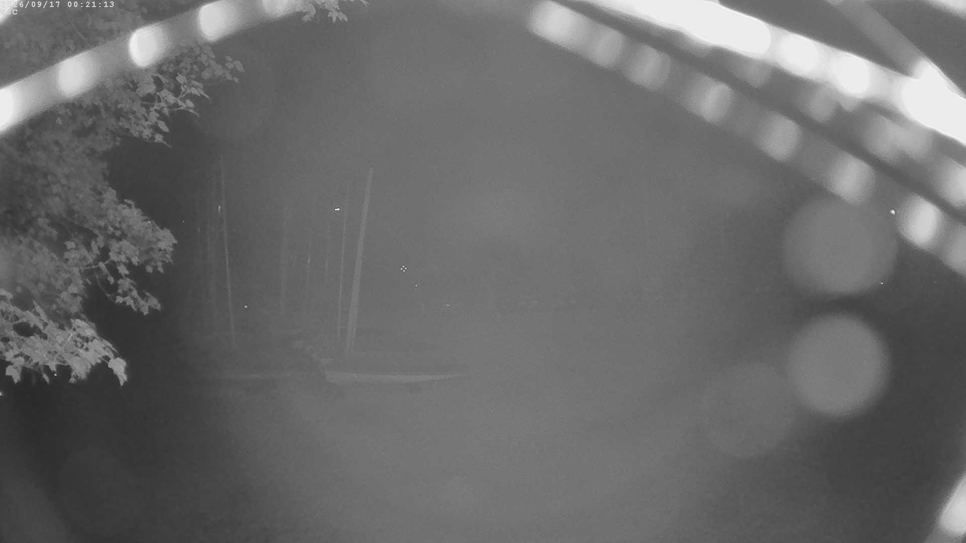 Archived image Webcam Waging: Sailing Harbor