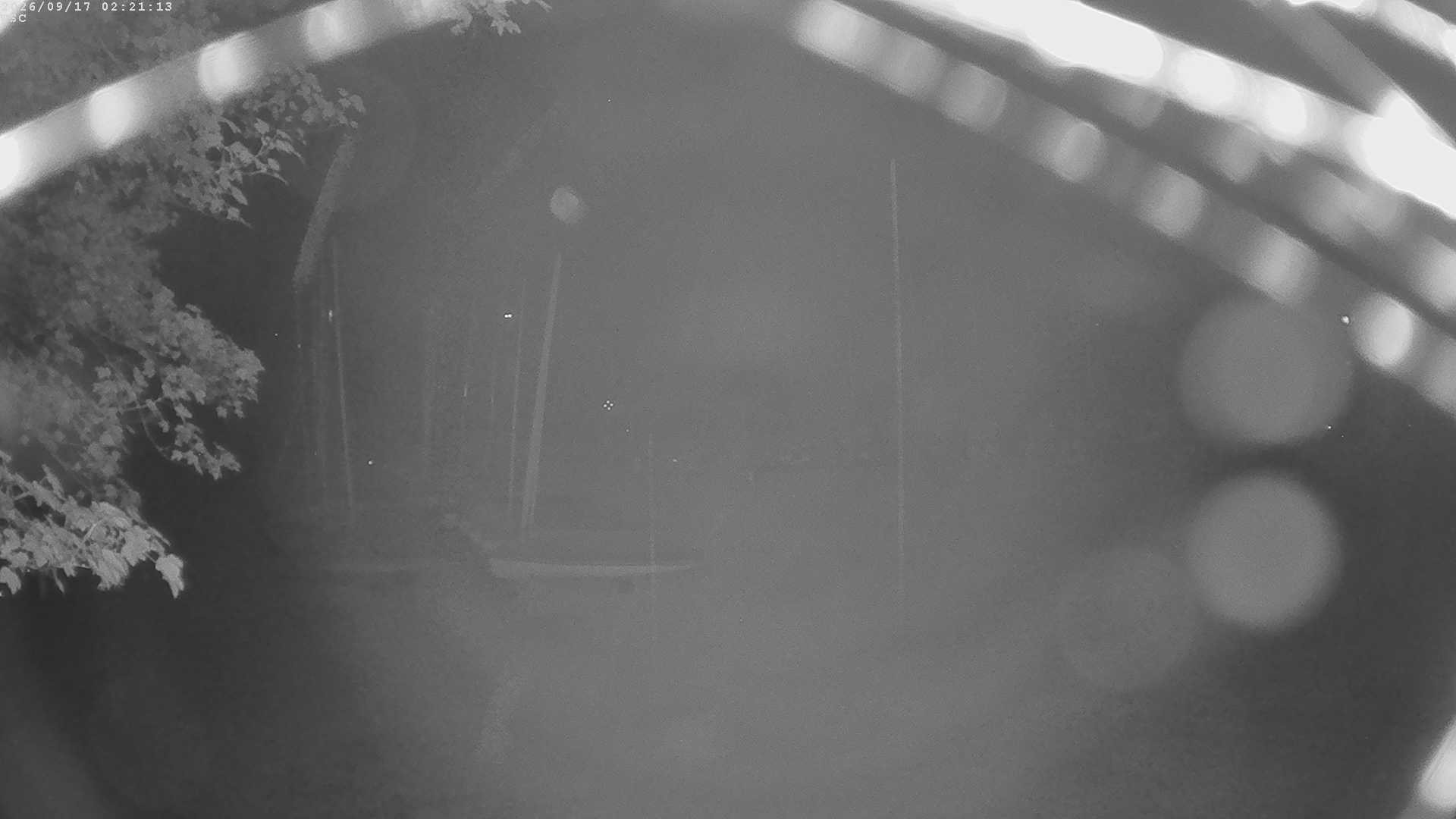 Archived image Webcam Waging: Sailing Harbor