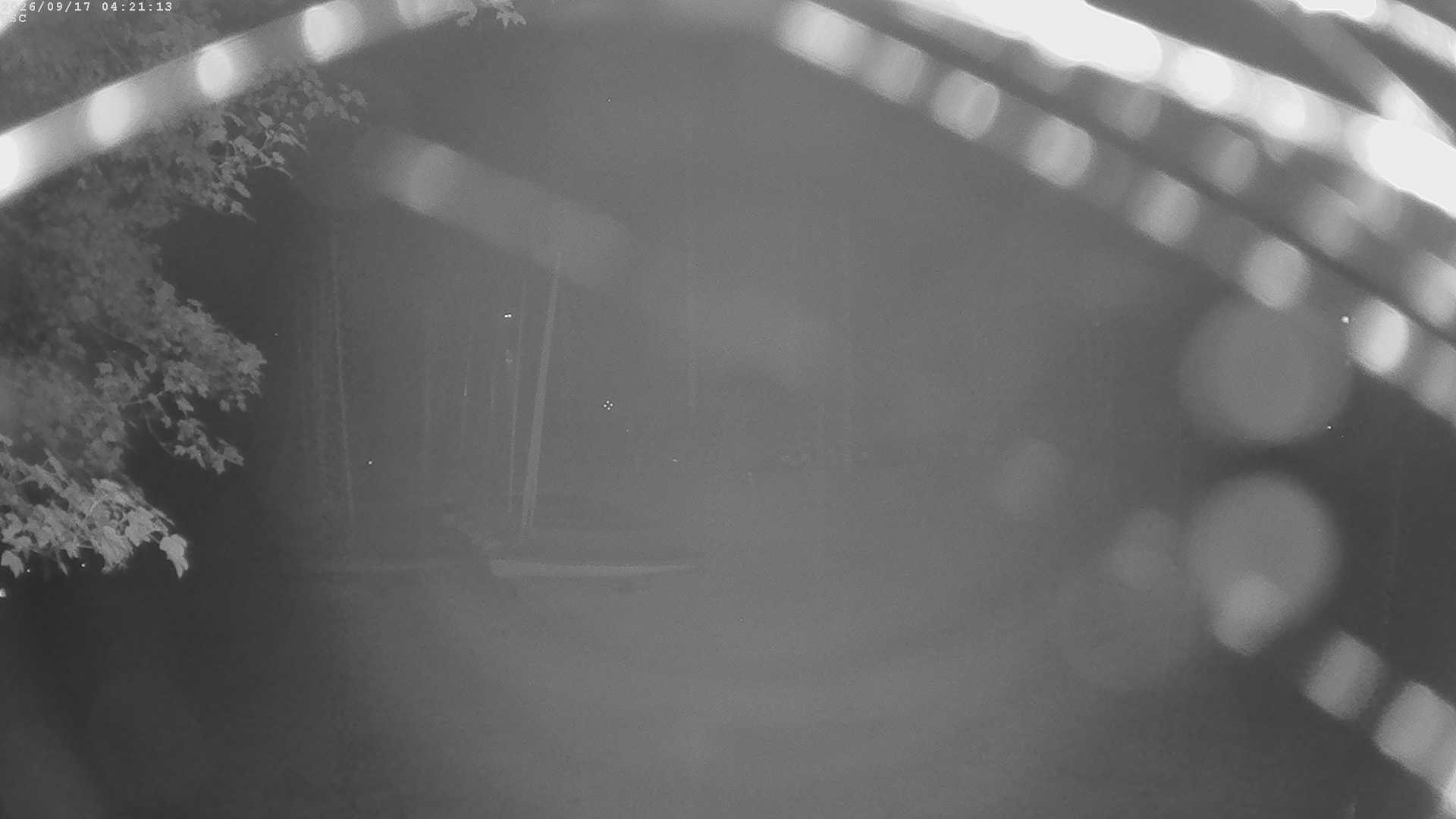 Archived image Webcam Waging: Sailing Harbor