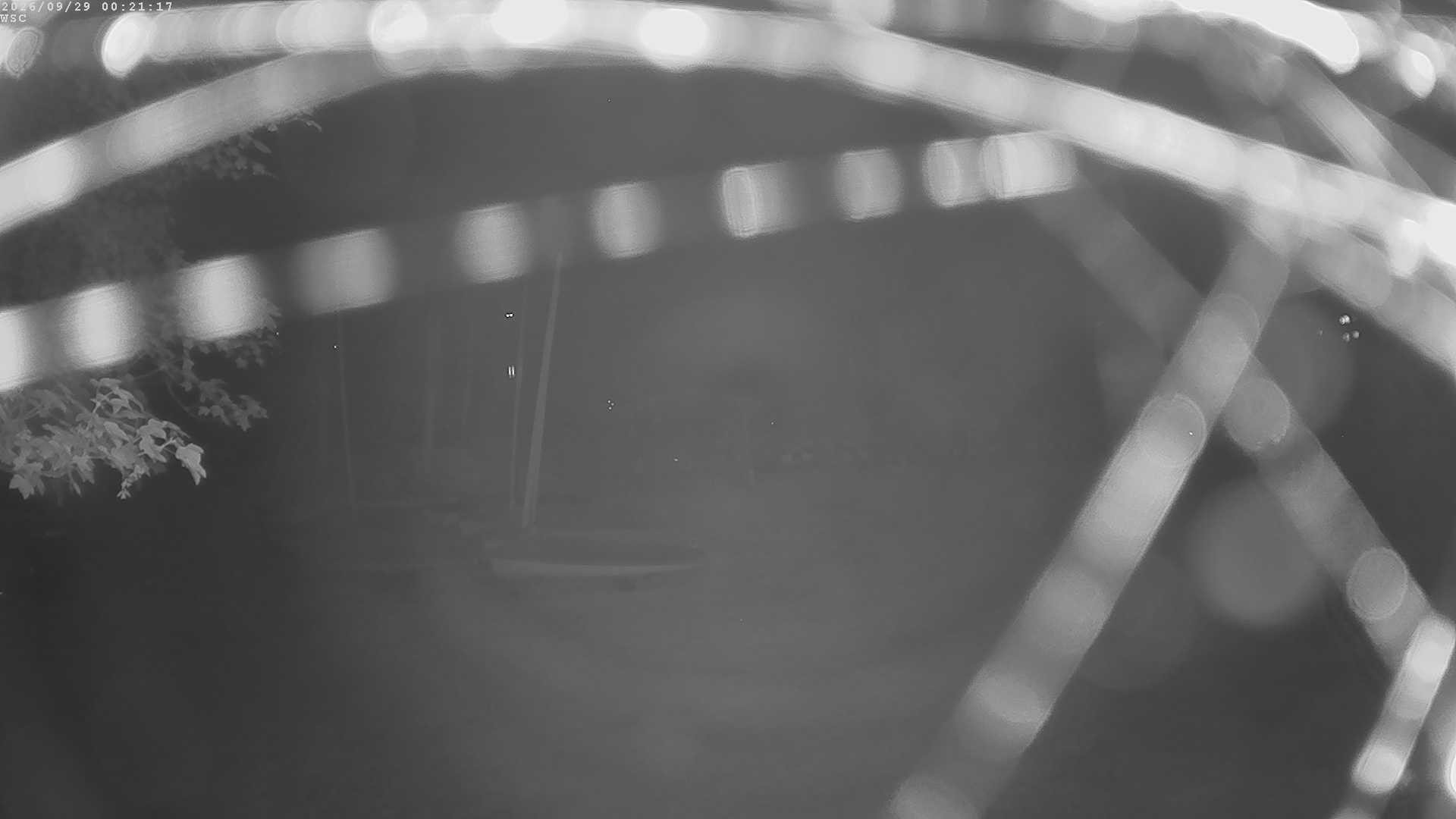 Archived image Webcam Waging: Sailing Harbor
