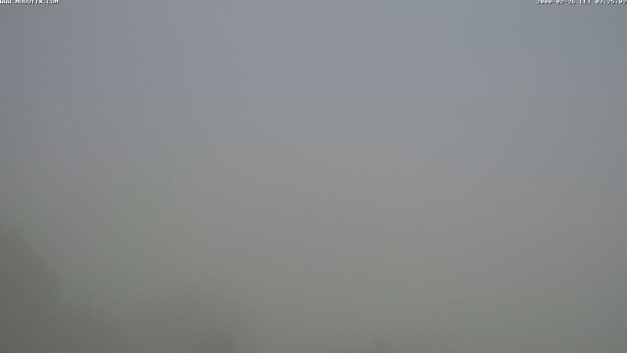 Archived image Webcam Waging: Church of Pilgrimage Maria Mühlberg