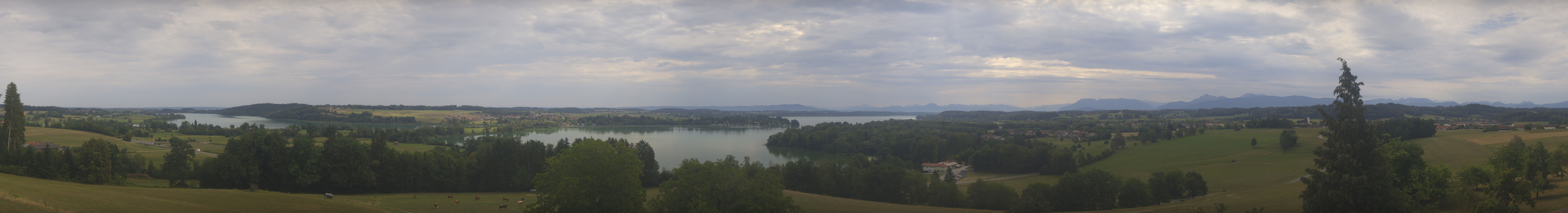 Archiv Foto Webcam Panoramablick auf Waginger und Tachinger See