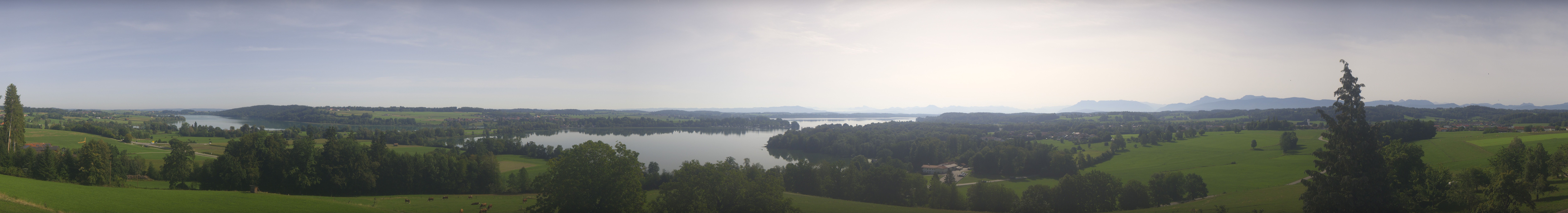 Archiv Foto Webcam Panoramablick auf Waginger und Tachinger See