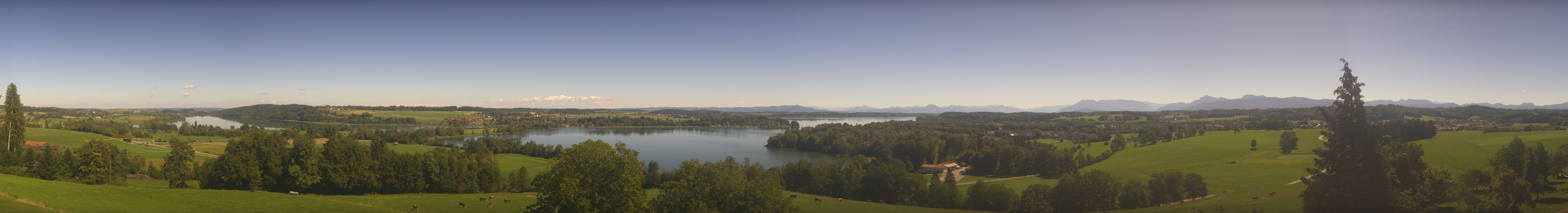 Archiv Foto Webcam Panoramablick auf Waginger und Tachinger See