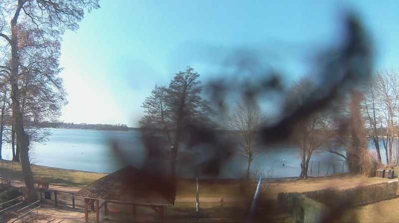 Archiv Foto Webcam Surfcenter Wandlitzer See