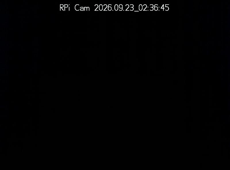 Archiv Foto Webcam Surfcenter Wandlitzer See