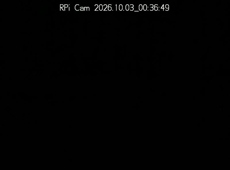Archiv Foto Webcam Surfcenter Wandlitzer See