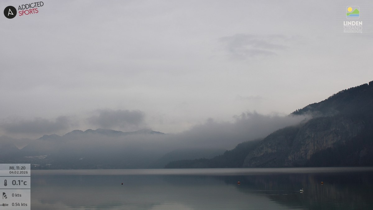 Archiv Foto Webcam Wolfgangsee - Lindenstrand