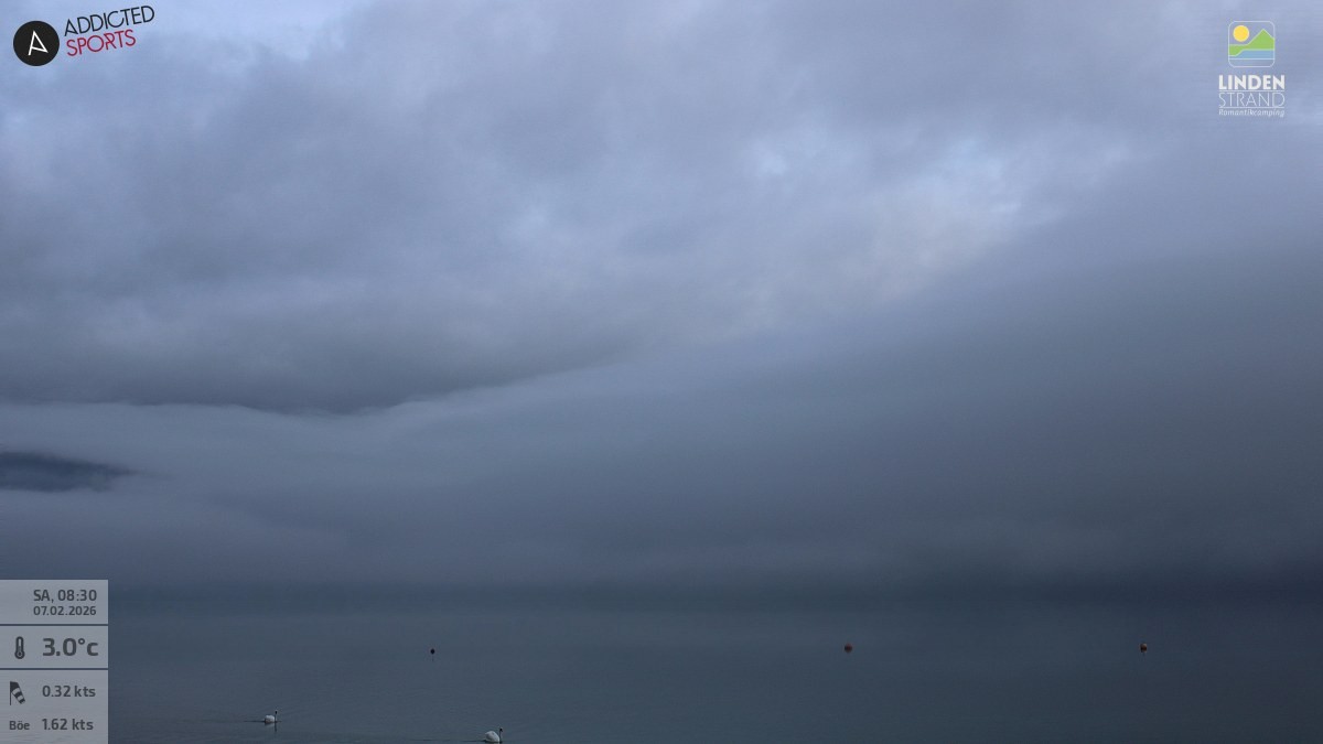 Archiv Foto Webcam Wolfgangsee - Lindenstrand