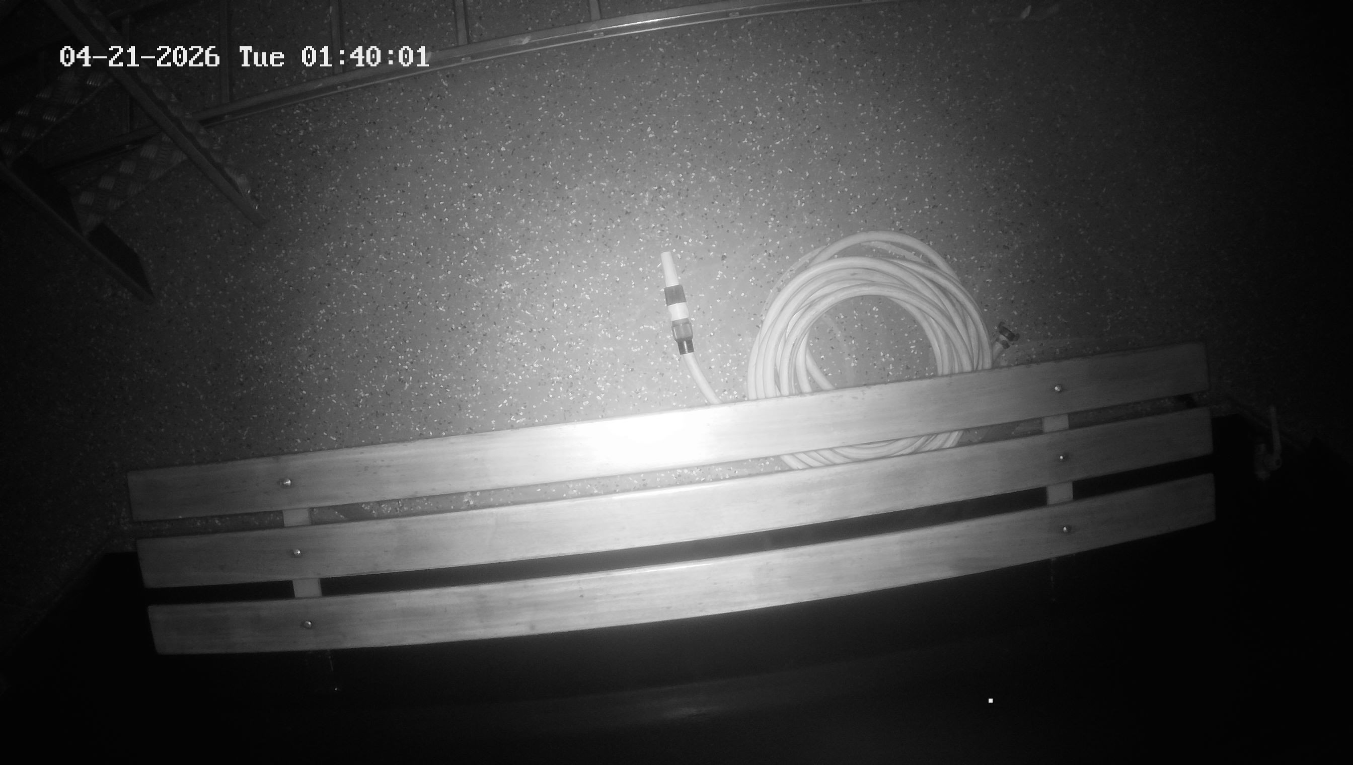 Archiv Foto Kelheim – Webcam MS Maximilian II