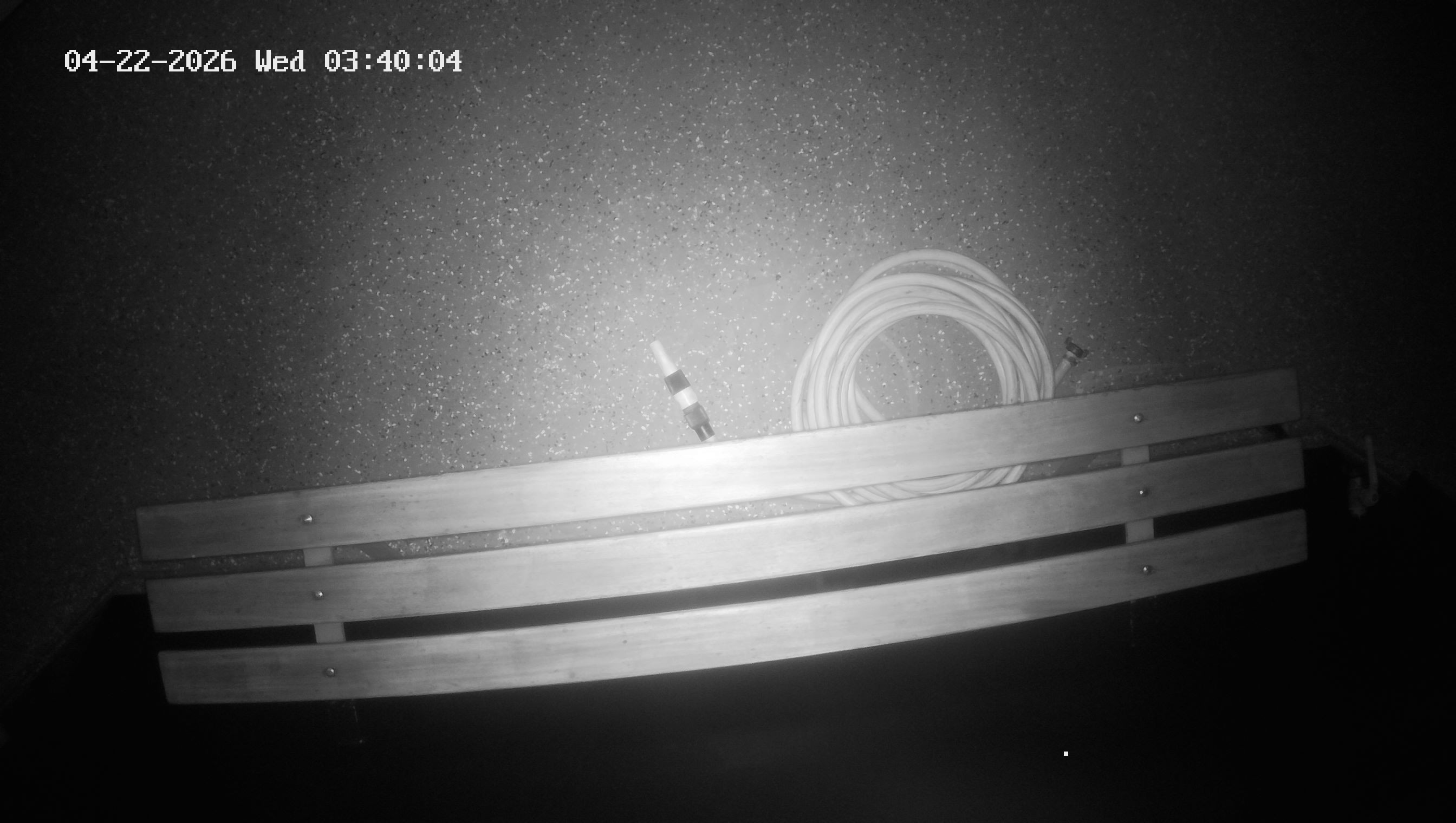 Archived image Webcam Kelheim – View Ship Maximilian II