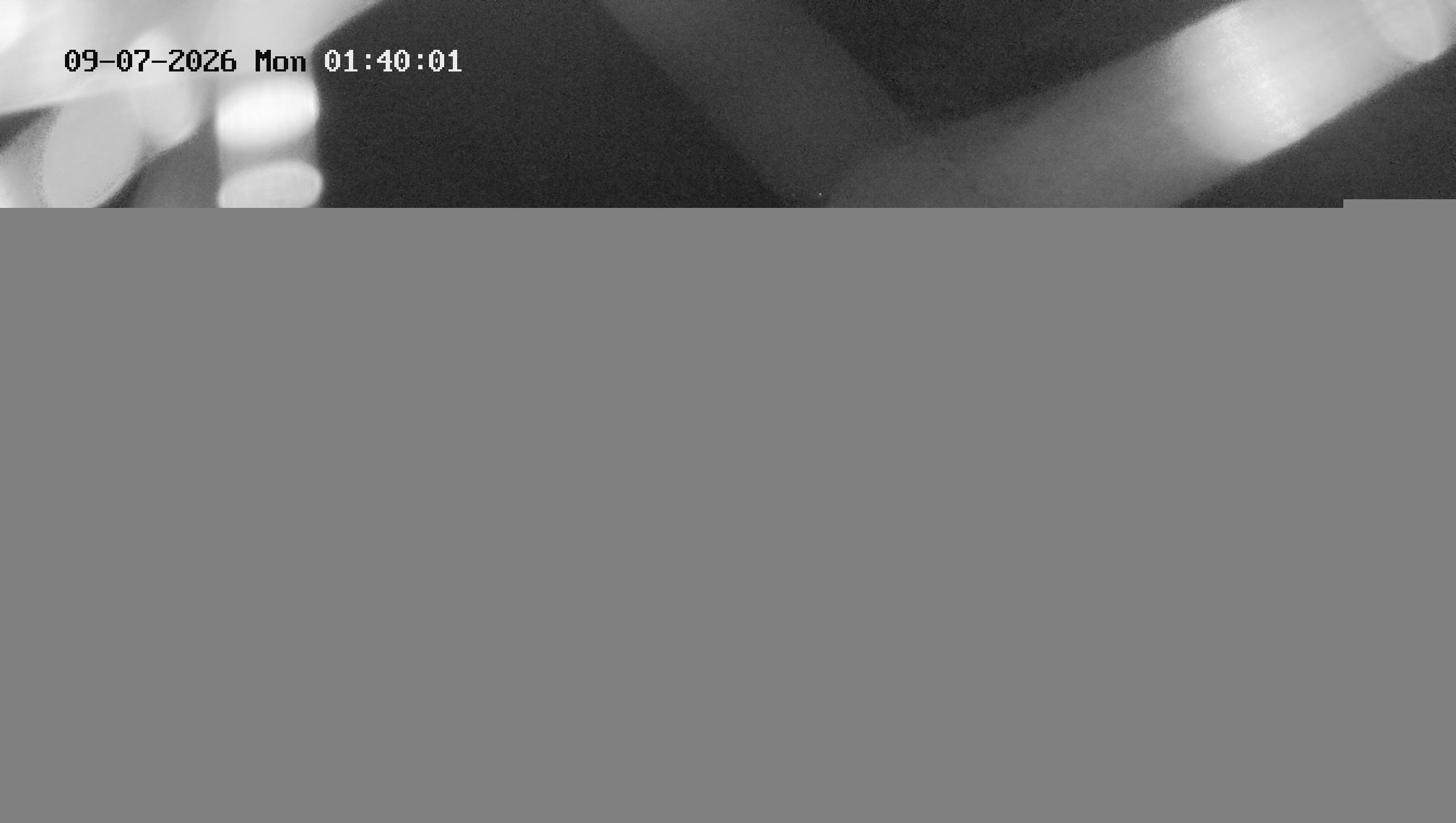 Archiv Foto Kelheim – Webcam MS Maximilian II