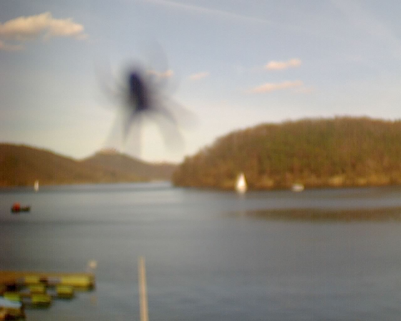 Archiv Foto Webcam Campingplatz Bettenhagen am Edersee