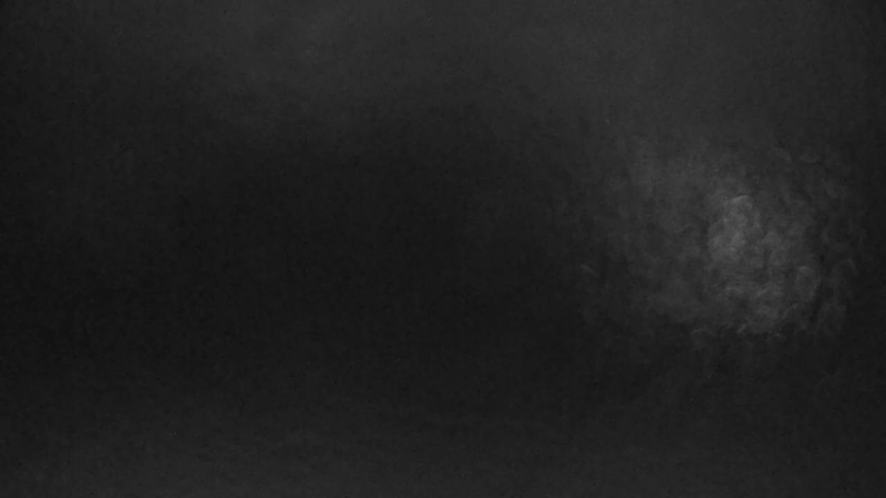 Archiv Foto Webcam Saarschleife