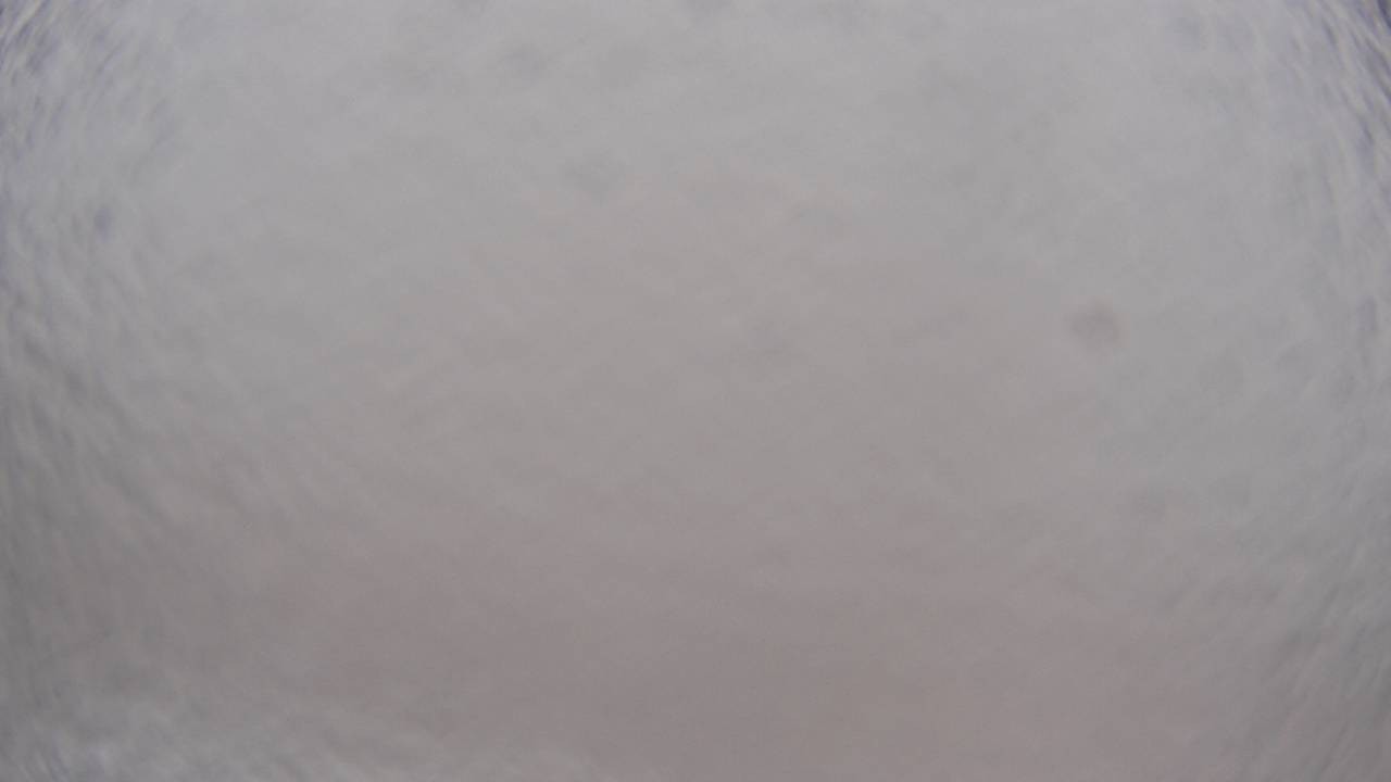 Archiv Foto Webcam Saarschleife