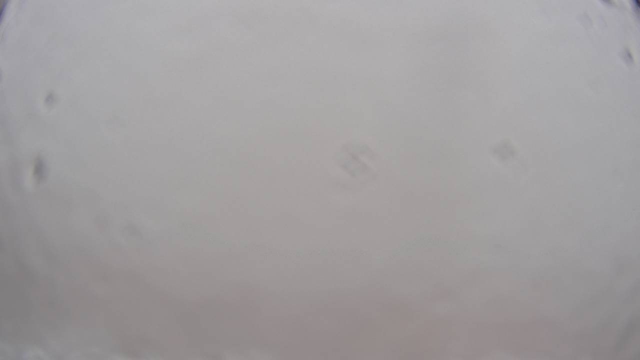 Archiv Foto Webcam Saarschleife